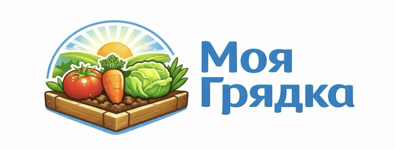 Акція та новинки